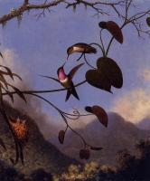 Heade, Martin Johnson